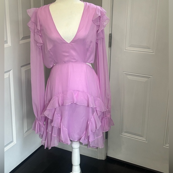 Angelance New York Silk Chiffon Dress - Picture 4 of 14
